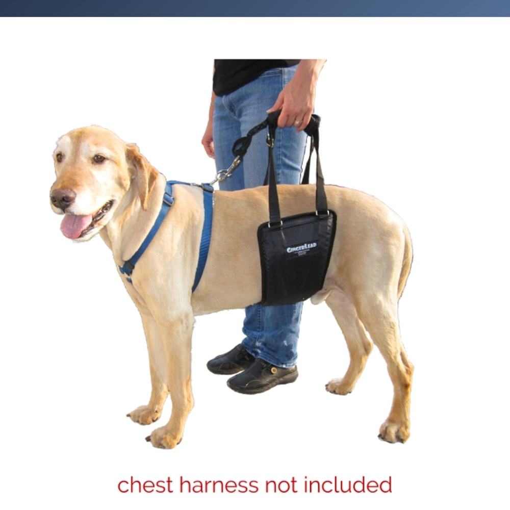 GINGERLEAD Dog Rear Support Sling Harness, M/LG Unisex